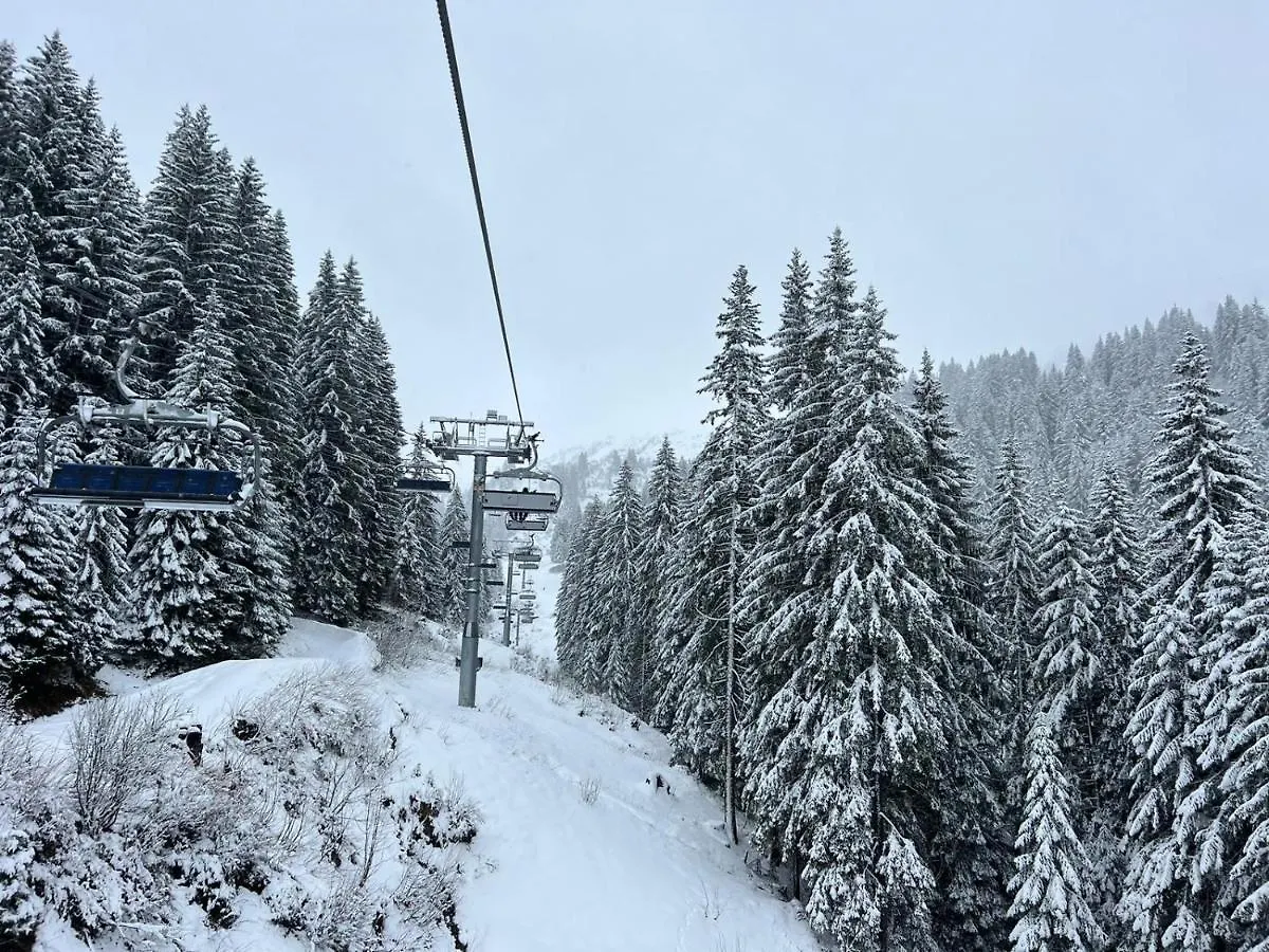 Chalet Du Bonheur Bonnevaux