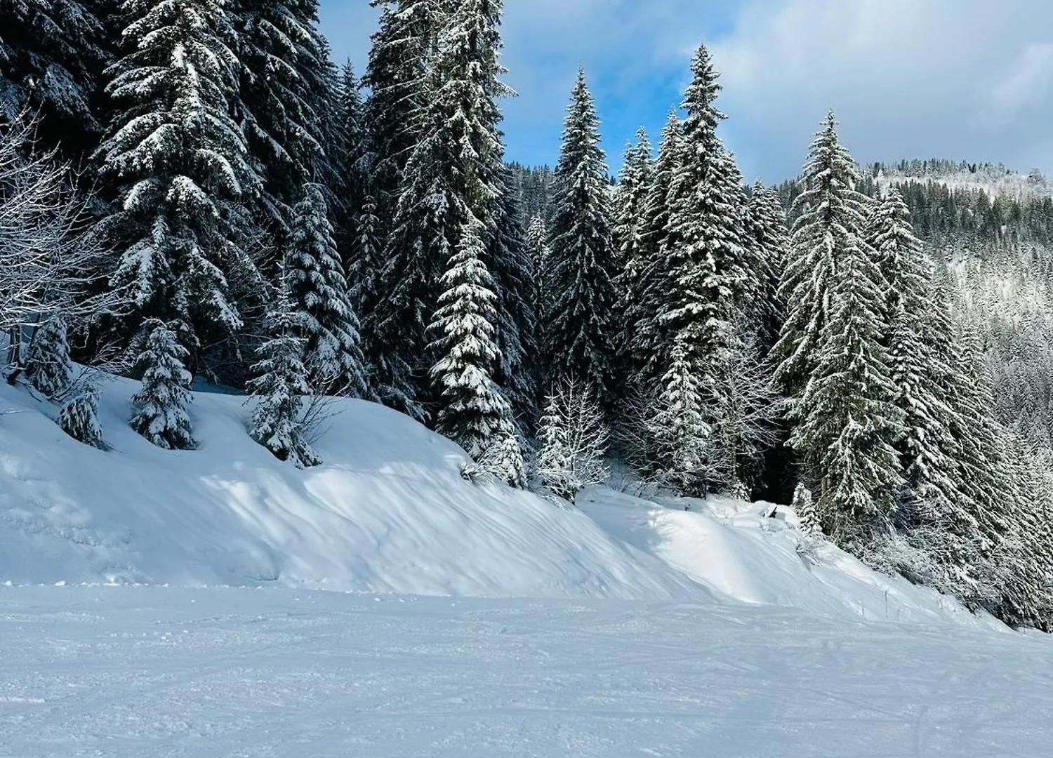 Chalet Du Bonheur Bonnevaux